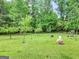 Grassy yard with several young trees and bust statue at 377 Parker Rd, Mcdonough, GA 30252