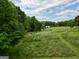 Scenic view of the backyard including pasture land at 377 Parker Rd, Mcdonough, GA 30252