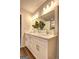 Stylish bathroom vanity with modern fixtures and decorative house plant at 221 Ashley Oaks Dr, Mcdonough, GA 30253