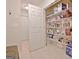 Walk-in pantry with shelving and storage solutions at 150 Butterton Ct, Fayetteville, GA 30214