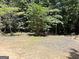 Lush trees and open land in a serene setting at 224 Potts Se Rd, Conyers, GA 30094