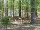 View of a shed surrounded by trees, perfect for storage at 224 Potts Se Rd, Conyers, GA 30094