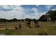Pasture scene featuring horses by a white fence under a partly cloudy sky, showcasing peaceful country living at 1024 Bethany Rd, Covington, GA 30016