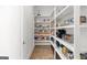 Organized pantry with ample shelving for food storage and easy access to items at 229 Widener Way, Peachtree City, GA 30269