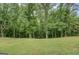 Expansive backyard with a lush lawn and mature trees, offering privacy and natural beauty at 170 Hidden Pines Drive, Covington, GA 30016