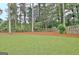 Large, lush backyard features mature trees, a wooden fence, and a well-manicured lawn at 207 Tiverton Trl, Peachtree City, GA 30269