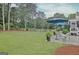 Lush backyard with a patio area and mature trees, providing a private and serene outdoor space at 207 Tiverton Trl, Peachtree City, GA 30269