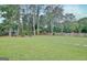Expansive backyard with lush green grass and mature trees creating a serene outdoor oasis at 207 Tiverton Trl, Peachtree City, GA 30269
