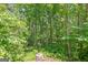 Backyard full of mature trees and foliage at 4950 Creel Rd, Fairburn, GA 30213