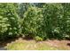 A dense backyard with mature trees and a grassy area at 4950 Creel Rd, Fairburn, GA 30213