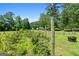View of a garden with a dark water tub for animals, set against a backdrop of lush trees at 441 Crumbley Rd, Mcdonough, GA 30252