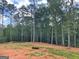 Beautiful wooded lot with mature trees, ready for your dream home construction at 3292 Mill Forest Sw Dr, Conyers, GA 30094