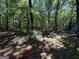Picturesque backyard with lush trees and foliage, offering a serene escape into nature's beauty at 261 Sally Duke Dr, Whitesburg, GA 30185