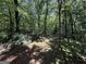 Lush trees and foliage fills this backyard, offering a private escape into nature's beauty at 261 Sally Duke Dr, Whitesburg, GA 30185
