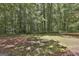 A serene backyard featuring natural landscaping, lush green trees and mossy ground at 508 Las Brasis Ct, Peachtree City, GA 30269