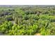 A serene aerial view of the tree-lined neighborhood with homes nestled among the foliage at 210 Farr Lake Dr, Tyrone, GA 30290