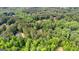 An aerial view of the landscape showcasing lush greenery and scattered residences among the trees at 210 Farr Lake Dr, Tyrone, GA 30290