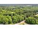 Sprawling forested landscape with a neighborhood tucked in, showcasing serene natural beauty at 210 Farr Lake Dr, Tyrone, GA 30290