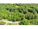 Aerial view of a neighborhood surrounded by mature trees, with homes well spaced from each other at 210 Farr Lake Dr, Tyrone, GA 30290
