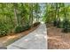 Long driveway winding through trees leading to a charming home, offering privacy and curb appeal at 210 Farr Lake Dr, Tyrone, GA 30290