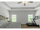 Bright bedroom features two windows, plush carpet, a ceiling fan, and a modern tray ceiling at 1243 Polk Xing, Mcdonough, GA 30252