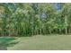 Large, grassy backyard surrounded by mature trees, located on a wooded lot at 1572 Hines Rd, Moreland, GA 30259