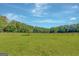 Expansive green pasture surrounded by lush trees; excellent potential for equestrian activities or farming purposes at 1572 Hines Rd, Moreland, GA 30259