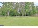 Expansive backyard with lush green grass and mature trees providing shade and tranquility at 234 Thyme Leaf Way, Locust Grove, GA 30248
