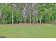 Lush, green backyard featuring a natural wooded area for a private, serene setting at 234 Thyme Leaf Way, Locust Grove, GA 30248
