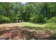 Large private backyard with mature trees, and storage shed at 416 S Carroll Rd, Villa Rica, GA 30180