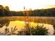Picturesque pond view with sun shining through tall grass, creating a serene natural setting at 606 Ridgelake Dr, Peachtree City, GA 30269