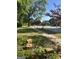 Picturesque neighborhood with sidewalks lined with mature trees and well-maintained lawns at 908 Emory St, Oxford, GA 30054