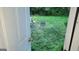 View of overgrown back yard through opened door at 1417 Lake Cir, Mableton, GA 30126