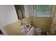 Bathroom featuring tile walls, a mirror and toilet cluttered with cleaning supplies at 1417 Lake Cir, Mableton, GA 30126