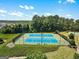 Aerial view of tennis courts, surrounded by lush landscaping and trees at 169 Wallnut Hall Cir, Woodstock, GA 30189