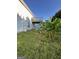 Backyard with a raised deck, small table, and a few banana trees at 11657 Flemming Ct, Hampton, GA 30228