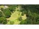 Aerial view of an expansive backyard with a garden plot, lush green grass, and mature trees at 78 N Pomona Rd, Hampton, GA 30228