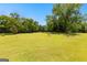 Lush green backyard with mature trees providing ample shade and privacy at 125 Lake Park Dr, Sharpsburg, GA 30277