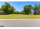 Picturesque neighborhood street with mature trees and well-maintained homes on large, grassy lots at 125 Lake Park Dr, Sharpsburg, GA 30277
