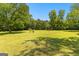 Expansive lawn surrounded by mature trees provides a park-like setting at 125 Lake Park Dr, Sharpsburg, GA 30277