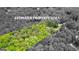Aerial view of the property lines highlighting land with lush greenery at 145 Adams Ct, Fayetteville, GA 30214