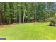 Expansive backyard with towering trees, well-kept lawn, and storage shed at 145 Adams Ct, Fayetteville, GA 30214
