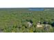 Aerial view of a home nestled among green trees with a glimpse of the lake in the distance at 11807 Alcovy Rd, Covington, GA 30014