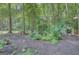 Secluded backyard featuring mature trees, lush greenery, and a storage shed at 157 Rockspray Rdg, Peachtree City, GA 30269