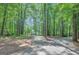 Sunlit driveway through wooded area at 157 Rockspray Rdg, Peachtree City, GA 30269