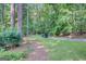 Scenic driveway curving through a tree-filled landscape with golf cart at 157 Rockspray Rdg, Peachtree City, GA 30269