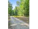 Long gravel driveway leading to property surrounded by green trees at 349 Campground Rd, Mcdonough, GA 30253