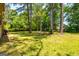 Backyard featuring a grassy area and mature trees at 6500 Wild Turkey Trl, Riverdale, GA 30296