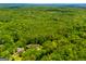 Sprawling greenery surrounds the property, offering complete privacy and picturesque landscapes at 258 Big Oak Rd, Whitesburg, GA 30185