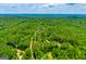 Expansive aerial view of lush greenery, showcasing the property's secluded location surrounded by trees at 258 Big Oak Rd, Whitesburg, GA 30185